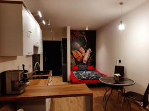 Apartament pod Szyndzielnią, Dębowiec, Bielsko-Biała